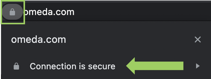 HTTPS - Validate a Secure Connection Screenshot with Arrows
